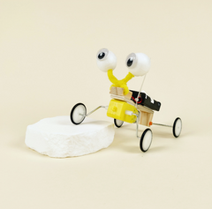 Bug Robot DIY Kit, Educational STEM Toy